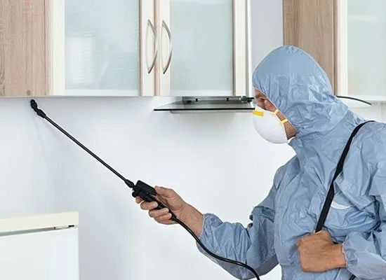 Contact Ant Control Experts in Brisbane Phone: 07 3184 8488 Contact Ant Control Experts