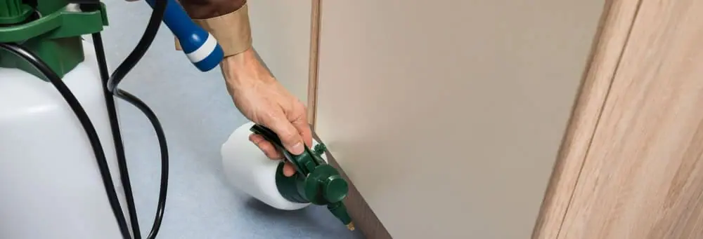 Building & Pest Inspections