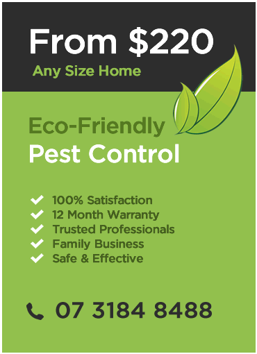 Pest Control Packages