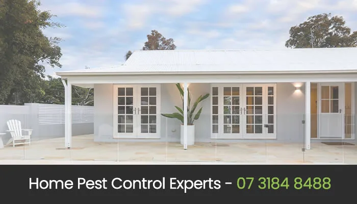 Pest Control Brisbane Eco Friendly Pest Control in Brisbane