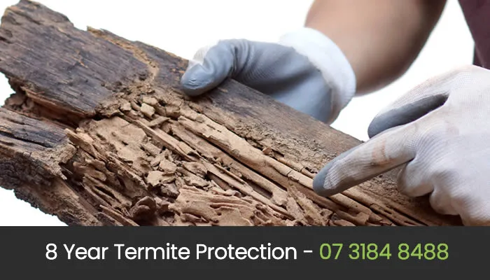 Termite Control Termite Treatment Brisbane