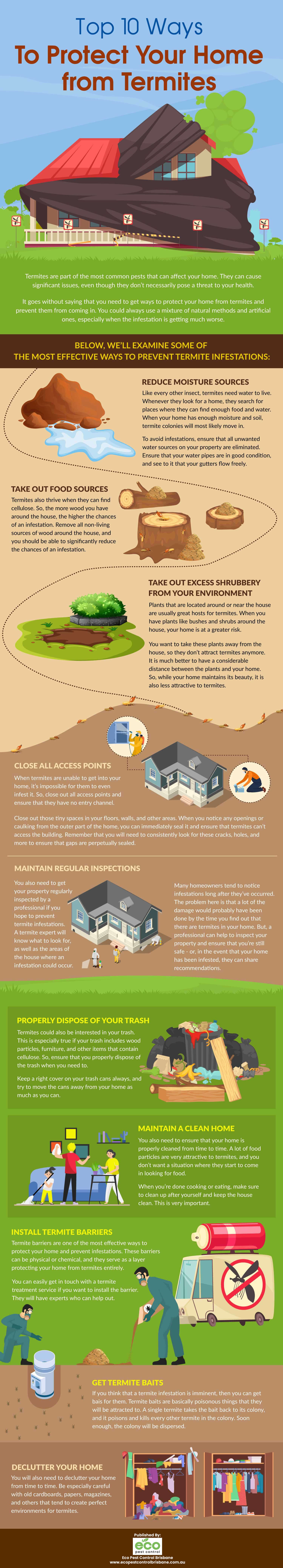 Top 10 Ways To Protect Your Home from Termites - Infographic