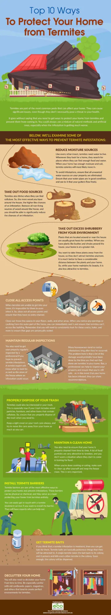 Top 10 Ways To Protect Your Home from Termites – Infographic