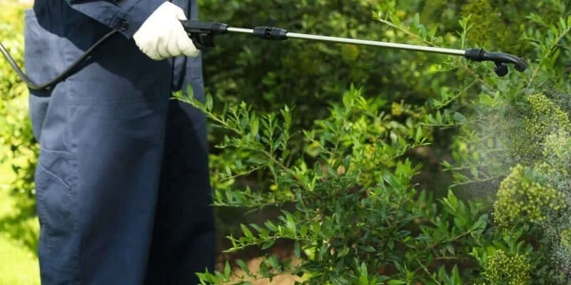 6 Benefits of Pest Control