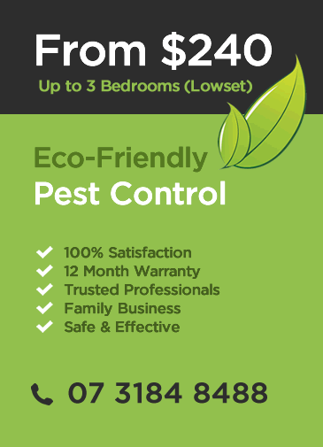 3 BEDROOM HOMES $240 - Pest Control Treatments